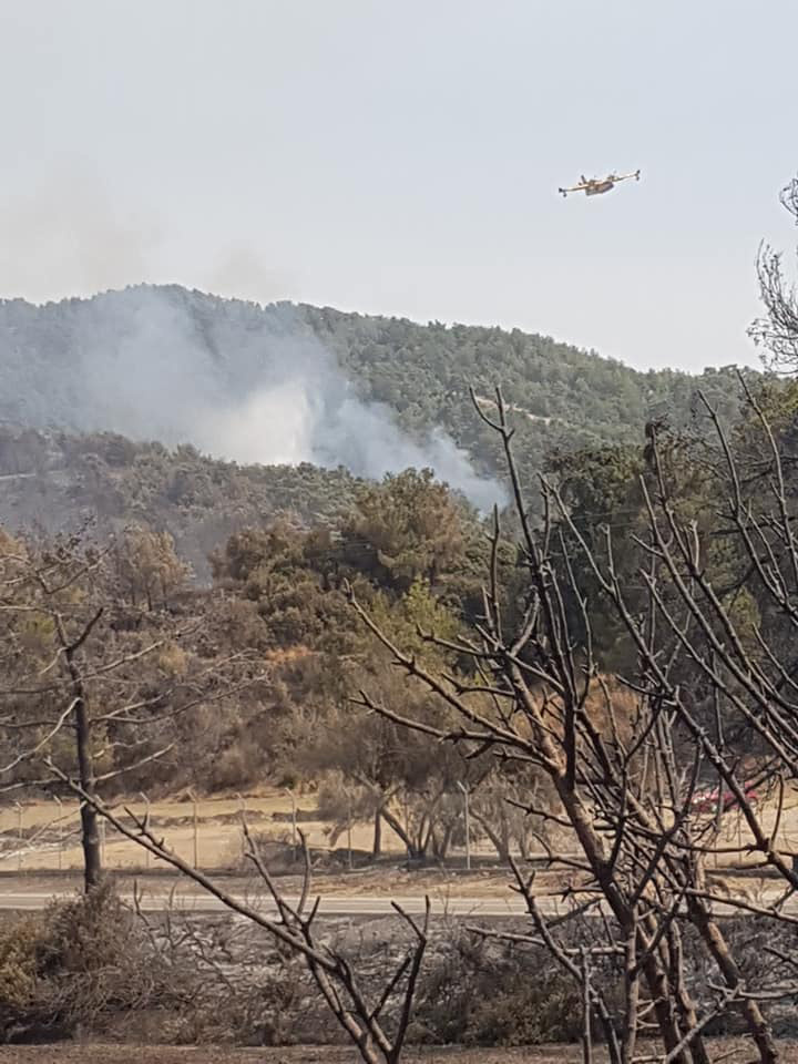 ΦΩΤΟ: Εθελοντική ομάδα αντιμετώπισης πυρκαγιών Σαλάκου