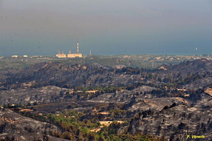 ΦΩΤΟ: Πάνος Βενέρης