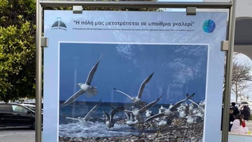 Συνεχίζεται το πρόγραμμα «Η πόλη μας μετατρέπεται σε υπαίθρια γκαλερί»