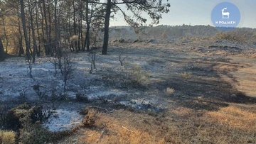 Εκτίμηση της σφοδρότητας καύσης της δασικής πυρκαγιάς στη Ρόδο