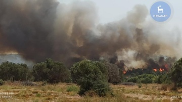 Παρατείνεται η απαγόρευση μετακινήσεων στα δάση μέχρι και την Παρασκευή