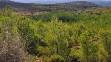 Έκτακτα μέτρα για την αντιμετώπιση του κινδύνου πυρκαγιών