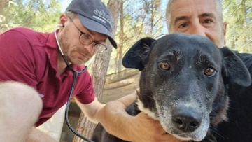 Γερμανός κτηνίατρος επισκέφθηκε το Δημοτικό Καταφύγιο Αδέσποτων Ζώων στη Ρόδο