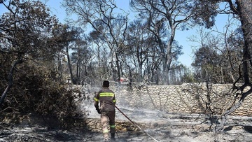 Οι στάχτες και τα αποκαΐδια  της αστικής δημοκρατίας