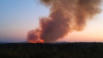 Κως: Δασική πυρκαγιά στο Μαστιχάρι