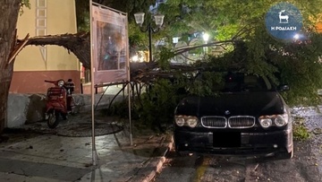 Κλώνος δέντρου έσπασε και "προσγειώθηκε" σε σταθμευμένο αυτοκίνητο στο κέντρο της Ρόδου