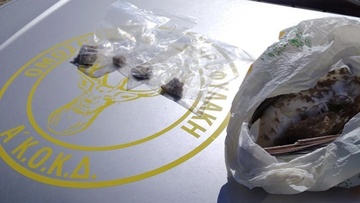 Δηλητηριασμένες φόλες εντόπισε στη Ρόδο η Ομοσπονδιακή Θηροφύλακας με το ειδικό σκυλί