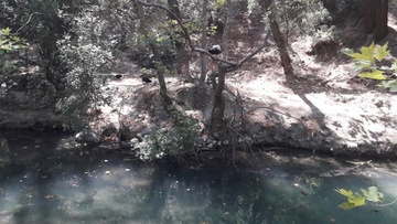 Σε τραγική κατάσταση βρίσκονται οι Επτά Πηγές