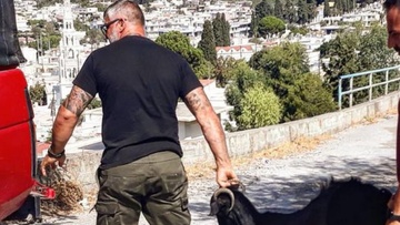 Παγίδες στήνουν στον Αρχάγγελο για τα ανεπιτήρητα ζώα