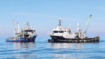 Γιάννης Βαληνάκης: Θα αφήνουμε την παράνομη τουρκική αλιεία δίπλα στα νησιά μας ατιμώρητη;