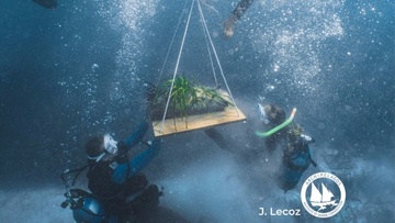 Οι υποβρύχιοι  κηπουροί του Αιγαίου στο νησιωτικό σύμπλεγμα των Λειψών