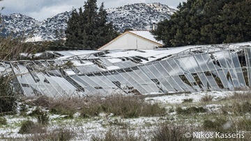 Το χιόνι προκάλεσε ζημιές σε αγρότες και κτηνοτρόφους