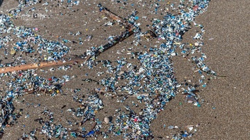 Γέμισε με... μικροπλαστικά σκουπίδια η παραλία στο Πρασονήσι