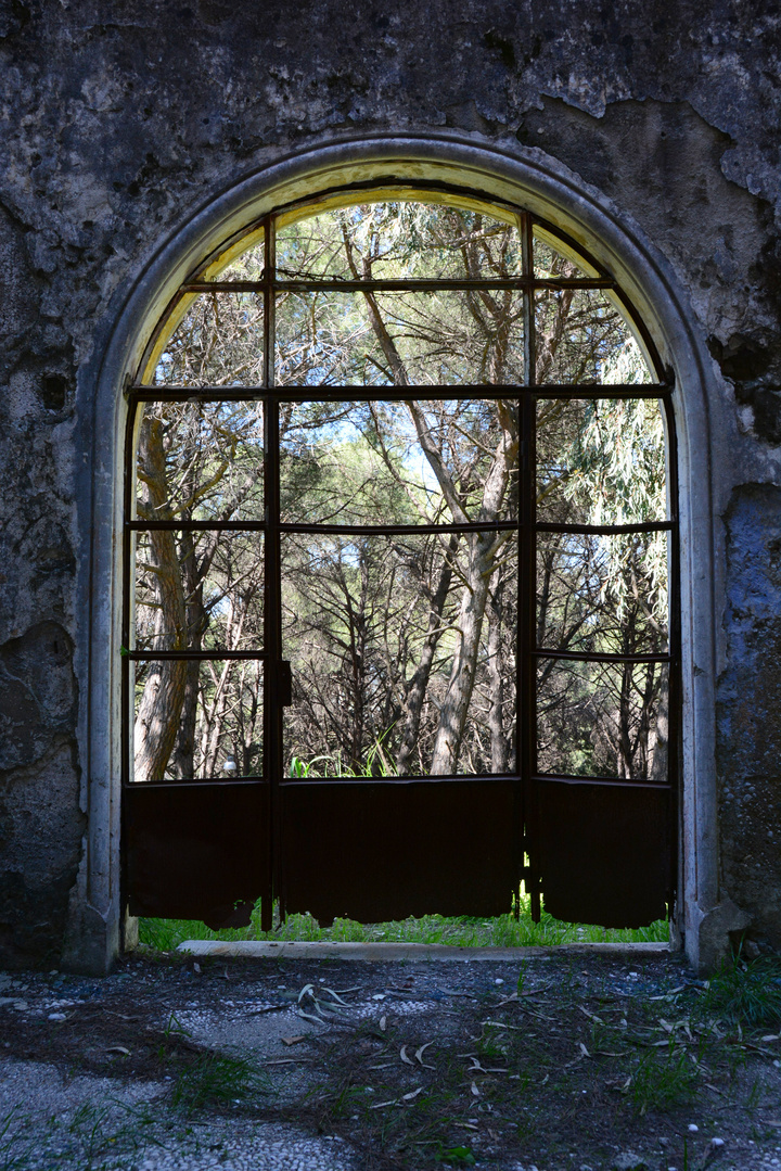 Μαρία Γρηγορά