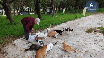 Ευθύμιος Γιωργαλλίδης:  O Ροδίτης συνταξιούχος που ταΐζει καθημερινά πολλά γατάκια