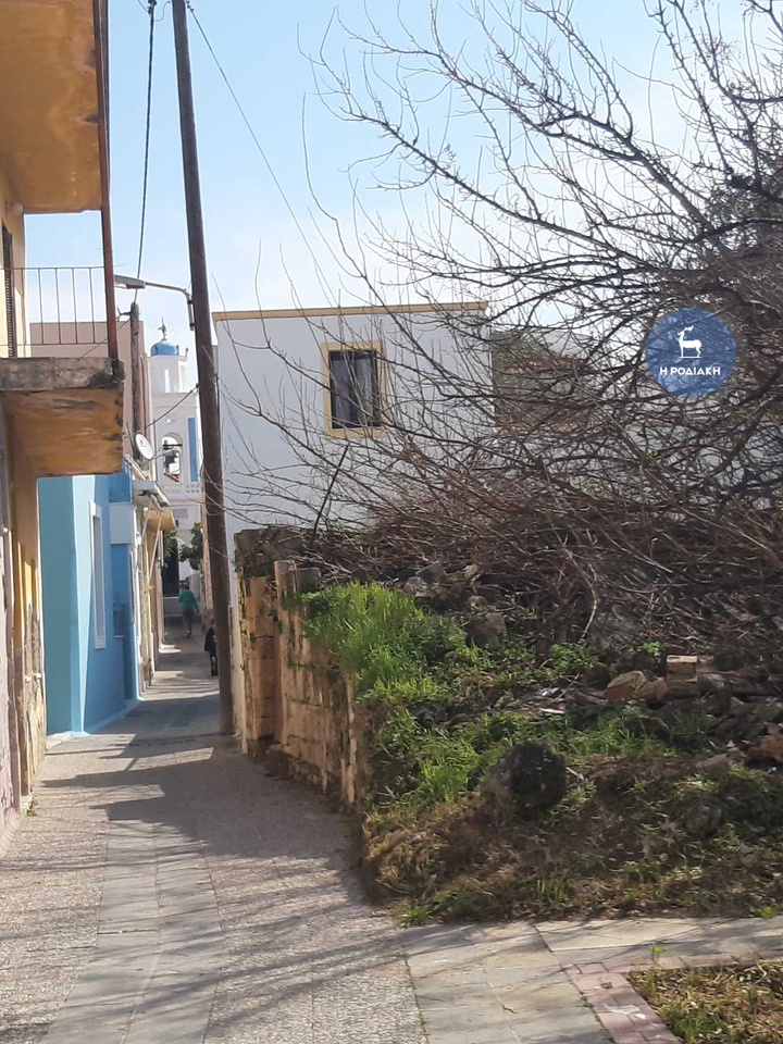 ΛΙΓΕΣ ΗΜΕΡΕΣ ΜΕΤΑ ΤΙΣ 21 ΦΕΒΡΟΥΑΡΙΟΥ