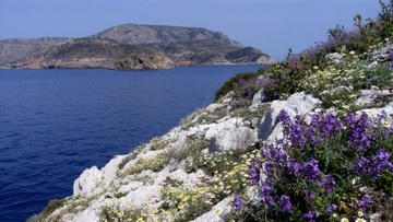 Ισραηλινός πολιτικός προτείνει την αγορά ελληνικών νησιών ως καταφύγια σε περίπτωση πολέμου