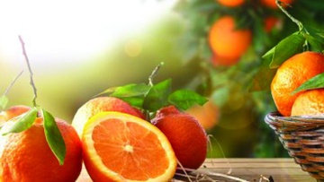 Μετά από δύο χρόνια έγινε η γιορτή πορτοκαλιού στα Μάσσαρι