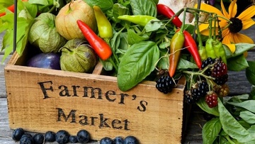 Εκδήλωση του ΠΡΟΤΟΥΡ σχετικά με τις προκλήσεις που αντιμετωπίζουν οι Τουριστικοί Προορισμοί στη “νέα εποχή”