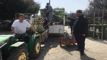 Περισσότερα από 2.500 καλλωπιστικά και δέντρα στο νησί της Κω από το Περιφερειακό Φυτώριο