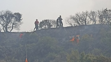 Να διατεθούν εναέρια μέσα για την κατάσβεση της φωτιάς στη Σορωνή ζητά το ΚΚΕ - Παρέμβαση Παφίλη στον υπ. Πολιτικής Προστασίας