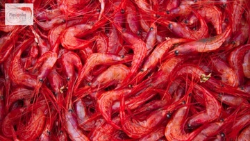 Συμιακό γαριδάκι: Ρυθμιστικά μέτρα για την αλιεία του