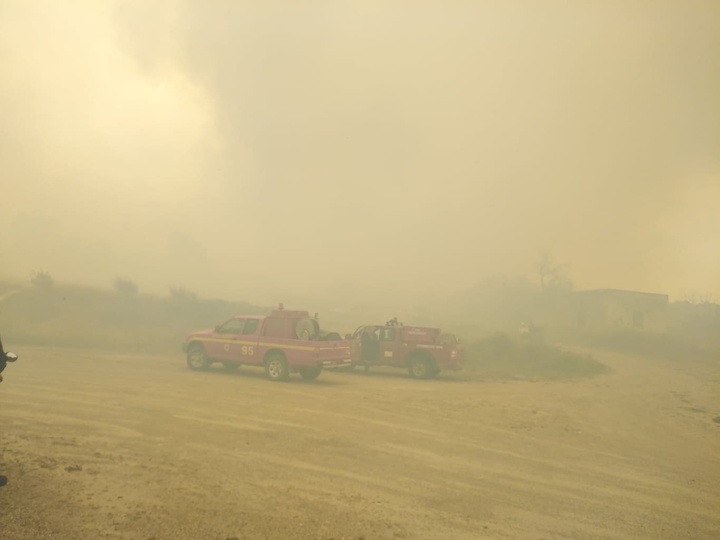 Incendii de pădure au izbucnit în Rodos, Ilie și Corint; Evacuarea satului Sorone