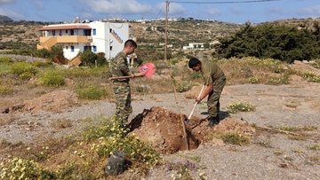 Συμμετοχή του δήμου Κάσου  στη διεθνή πρωτοβουλία φύτευσης δένδρων  