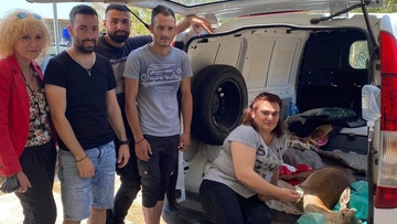 Τραυματισμένο ελάφι εντοπίστηκε και διασώθηκε στον Αρχάγγελο