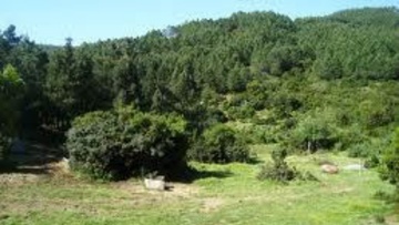 Συγκροτήθηκε συμβούλιο για τα δάση  και τις χορτολιβαδικές εκτάσεις με έδρα τη Ρόδο