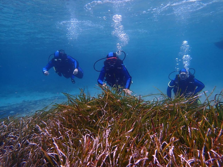 Τρεις δύτες ανακαλύπτουν τον βυθό της Καλύμνου Ζηνοβία Εργά