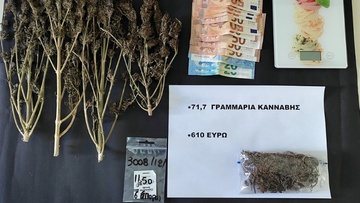 Ελεύθερη χωρίς όρους αφέθηκε 34χρονη Ιρανή