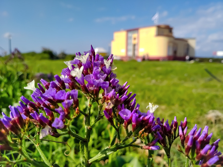 George Amallos Violet dominant devant l’Aquarium. Dominant purple in front of the Aquarium
