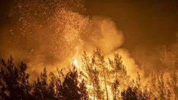 Επίκαιρη ερώτηση για την πυρκαγιά στη Ρόδο κατέθεσε η Ζ. Κωνσταντοπούλου
