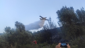 «Περίεργη» χαρακτηρίζεται  η πυρκαγιά στα Πλατάνια