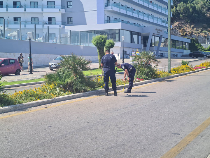 Αστυνομικοί της Τροχαίας Ρόδου που αναζητούν τα ακριβή στοιχεία για το πώς σημειώθηκε το θανατηφόρο τροχαίο