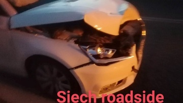 Αυτοκίνητο συγκρούστηκε με ελαφάκι στην περιοχή Μάσαρη 