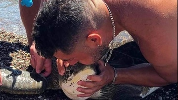 Διάσωση χελώνας στην παραλία Γενναδίου - Την γλίτωσαν απο΄ βέβαιο θάνατο