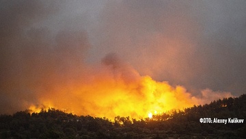 Παρατείνεται η κατάσταση εκτάκτου ανάγκης για Πεταλούδες και Καλλιθέα