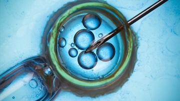 Δέσποινα Τσέλιου, δικηγόρος: «Οι μεταρρυθμίσεις στην τεχνητή γονιμοποίηση  και κρυοσυντήρηση -Ένα περαιτέρω βήμα στα γυναικεία δικαιώματα»