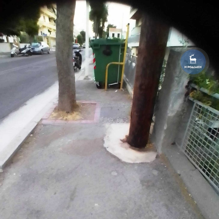 Αυτές τις καταστάσεις αντιμετωπίζουν τα άτομα με αναπηρία. Δέντρο, κολώνα φωτισμού  και κάδος σκουπιδιών καταμεσής του πεζοδρομίου