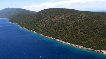 Κάλυμνος: Γυναίκα βγάζει στο … «σφυρί» τουρκική νησίδα ανοιχτά της Αλικαρνασσού