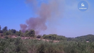 Τέθηκε υπό έλεγχο η φωτιά στην Κρητηνία