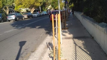 Άγνωστοι κατέστρεψαν δέντρα που φύτευσε ο Δήμος Ρόδου στην οδό Παπανικολάου 