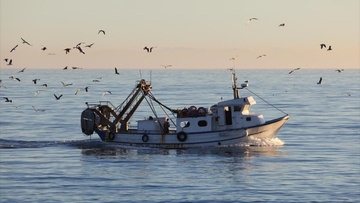 Παράνομη αλιεία και μέτρα προστασίας ευάλωτων οικοσυστήματων βαθέων υδάτων