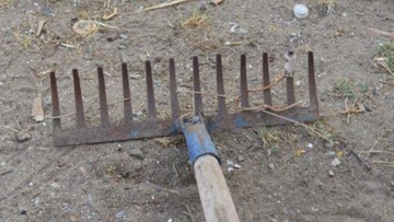 Επιτέθηκε με τσουγκράνα και τραυμάτισε σκύλο