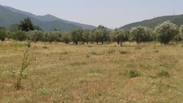 «Μου καταπάτησαν το οικόπεδο» ισχυρίζεται συμπατριώτης μας
