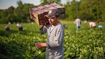 Μετανάστες και διακρίσεις στην ευρωπαϊκή αγορά εργασίας 