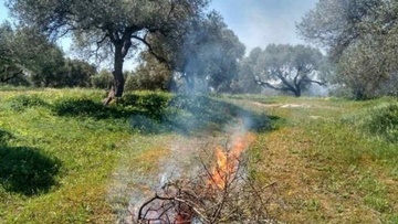 Πολιτική Προστασία Ν. Αιγαίου: Προσοχή στην καύση κλαδιών τις επόμενες ημέρες
