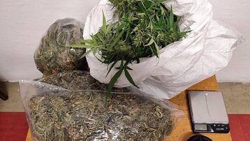 Συνελήφθη σε χωριό της Ρόδου για καλλιέργεια φυτών κάνναβης και διακίνηση ναρκωτικών
